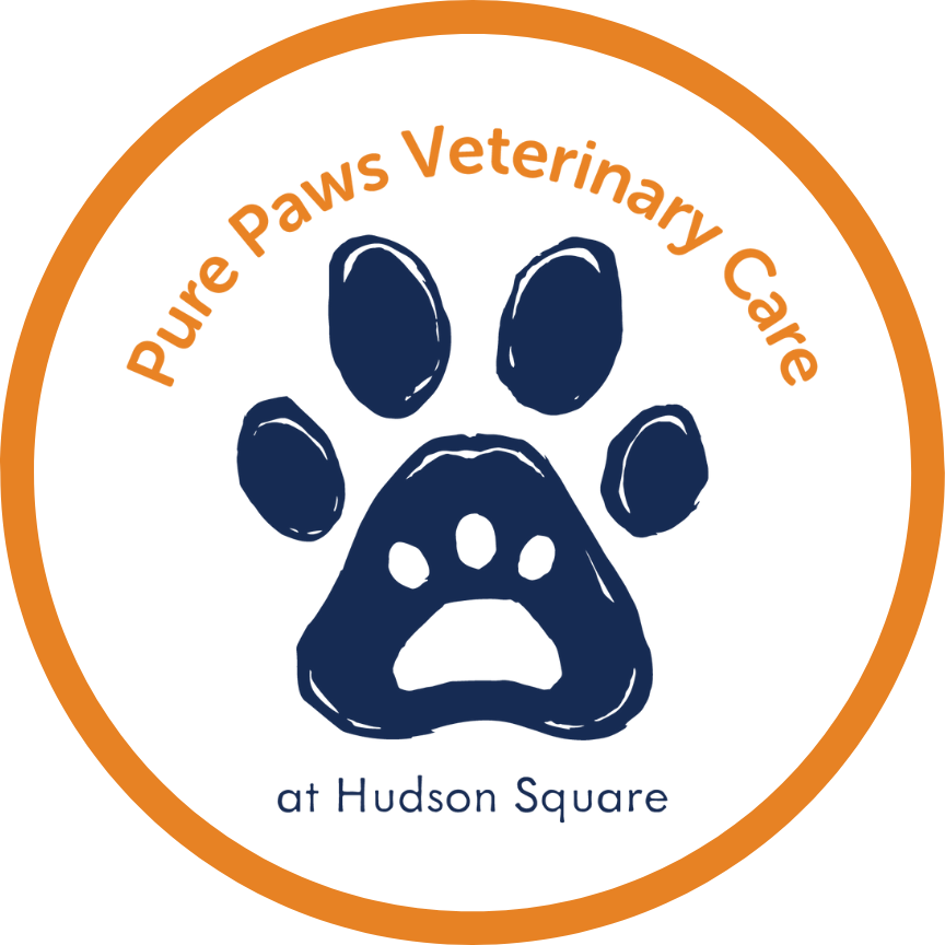 hudsonsquarepurepaws
